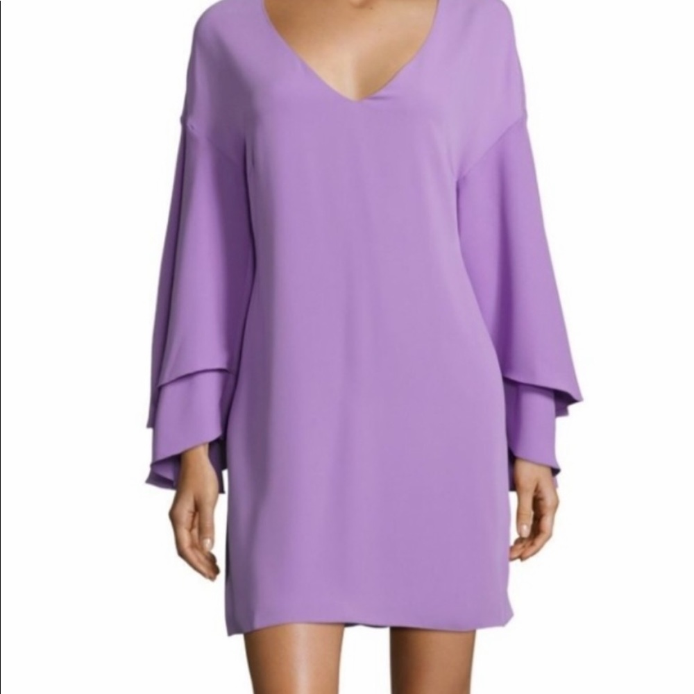 Lavender dress. Princess sleeves